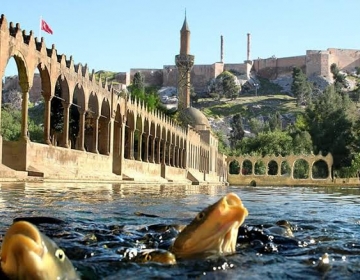 Şanlıurfa